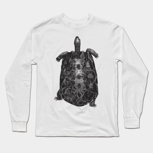 Tortoise Nature Drawing Long Sleeve T-Shirt by KnuckleTonic